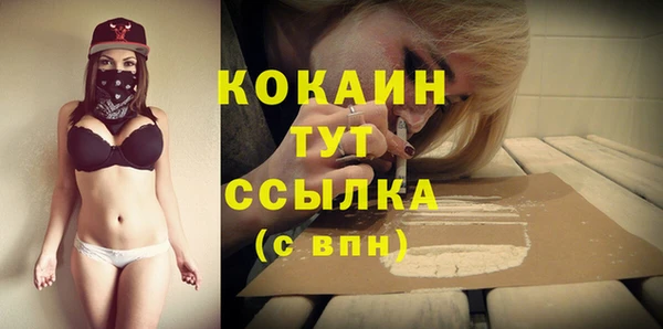 тгк Каменск-Шахтинский
