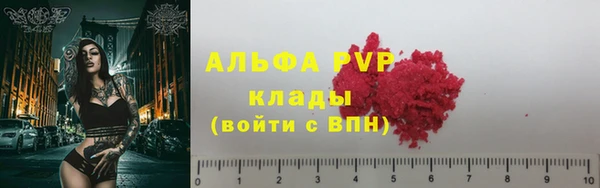крисы Каменка
