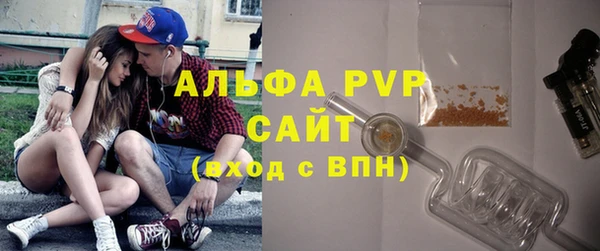 PSILOCYBIN Балабаново